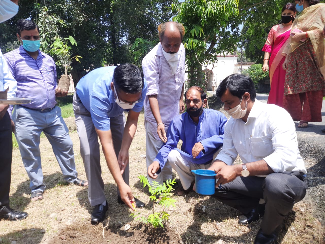 ऋषिकुल विद्यापीठ में हरेला पर्व का औषधीय पौधों को लगाकर किया शुभारंभ