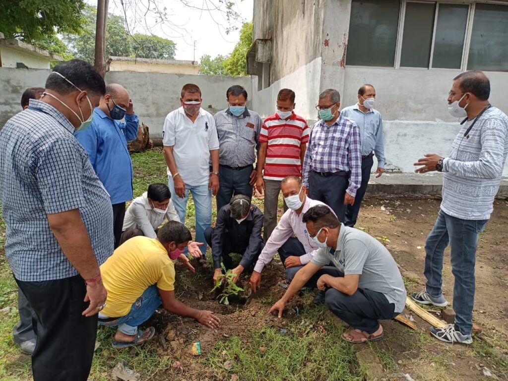 ऋषिकुल राजकीय आयुर्वेद महाविद्यालय में पर्यावरण सप्ताह मनाते हुए वृहद वृक्षारोपरण एवं स्व0 श्री सुन्दरलाल बहुगुणा रूद्राक्ष वाटिका का हुआ उद्धघाटन