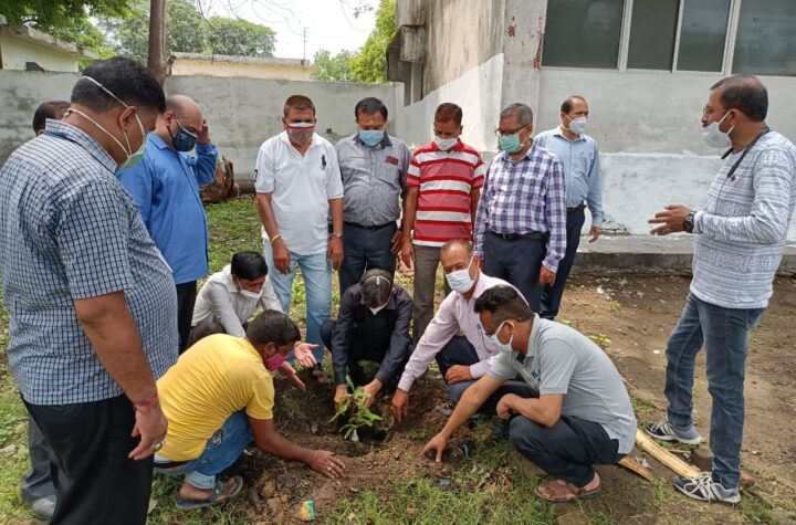 ऋषिकुल राजकीय आयुर्वेद महाविद्यालय में पर्यावरण सप्ताह मनाते हुए वृहद वृक्षारोपरण एवं स्व0 श्री सुन्दरलाल बहुगुणा रूद्राक्ष वाटिका का हुआ उद्धघाटन