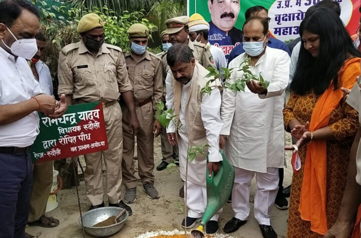 बसौढ़ी पौधशाला पर पौधरोपण करते वन मंत्री दारा सिंह चैहान